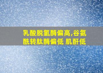 乳酸脱氢酶偏高,谷氨酰转肽酶偏低 肌酐低